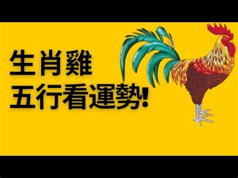 屬雞個性|生肖屬雞人的五行及個性分析